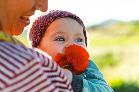 A mother holds her baby who is playfully biting a vibrant red flower. The image captures a sunny