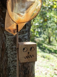 Funny face with glancing eyes and grimace on the mouth drawn on a wooden bucket next to a butterfly