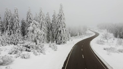 Snowy road leading through foggy winter landscape with snow-covered trees, aerial view, road with