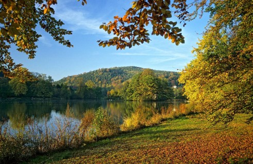 Germany, Greiz, Greizer Park, Lindenallee, Thuringia, Alley, Autumn, Autumn, Landscape, Landscape