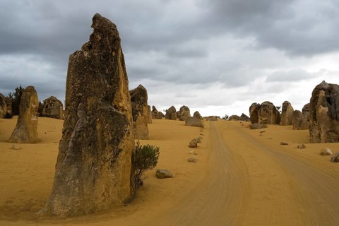 Pinnacles, Australia, Western Australia, West Coast Australia, limestone, limestone pillars, stone