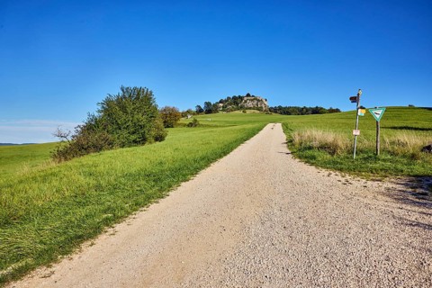 Hohentwiel mountain, Hohentwiel fortress ruins, cinder stone footpath, nature reserve, meadow,