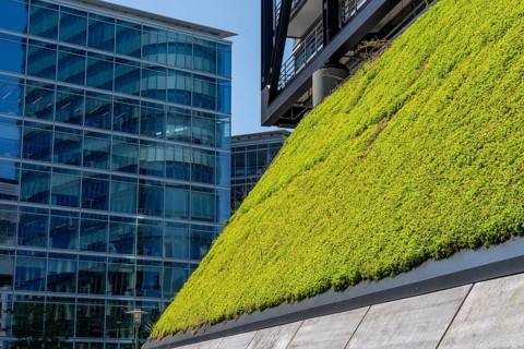 Green wall, façade of a building on Franziusstraße in the media harbor in Düsseldorf, North