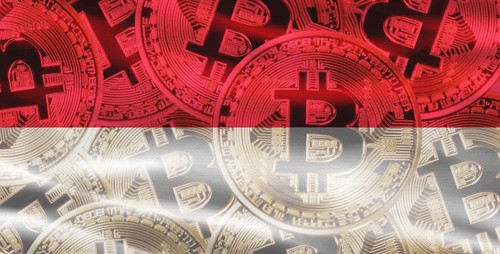 Monegasque flag with Bitcoins in the background. Bitcoin cryptocurrency with Monaco flag, Investors
