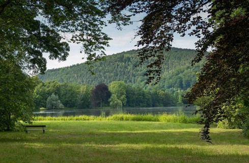 Elsteral, Germany, Greiz, Greizer Park, Thuringia, Weißes Kreuz, cultivated landscape, landscape,