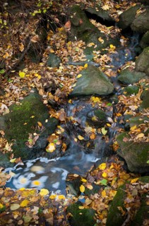 Germany, Rentzschmühle, Thuringia, Thuringia, autumn, rivers, autumn, high size, portrait,
