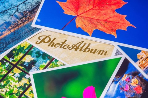 Close-up of bright and vivid color nature and architectural photos on top of light tan and golden