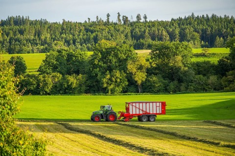 Tractor with trailer collects mowed grass from tracks on a meadow in an agricultural landscape,