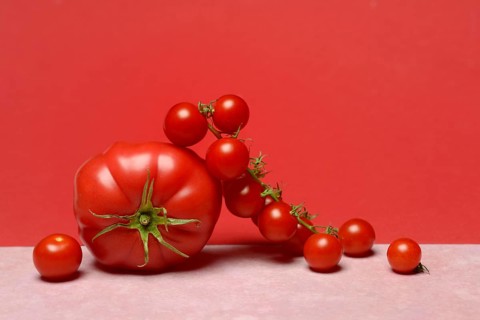 Beef tomato and cherry vine tomatoes with red background