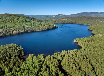 Aerial drone photo Mountain and Forest landscape at Loch Eilein in the Cairn Gorm National Park,