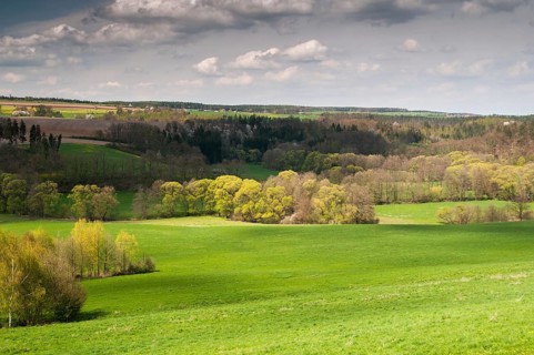 Germany, Greiz, Thuringia, Thuringia, Weidatal, floodplain, floodplain, spring, landscape, spring
