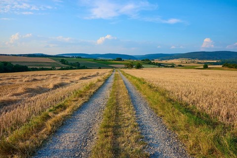 Long dirt road surrounded by fields under a clear blue sky, summer, Mönchberg, Miltenberg,