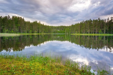 View over Lake Ongeltjørn, Telemark, Norway