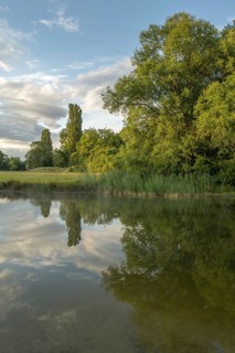 There are trees near a pond. Her reflection can be seen in calm water. There are a few clouds in