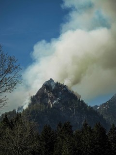 Forest fire on Saurüsselkopf in the Eastern Chiemgau Alps Nature Reserve on May 4, 2026, Laubau,