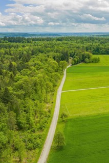A road runs through green fields and thick forest under a cloudy sky, Aidlingen sports ground,
