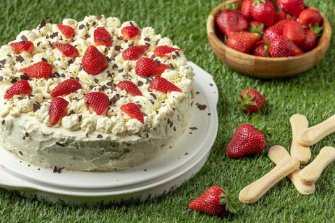 Malakoff cake decorated with cream and strawberries, next to a bowl of strawberries on grass