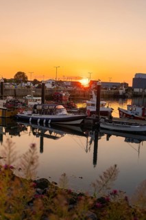 Several boats in the harbor at sunset, the water reflecting the warm light, Howth, Ireland