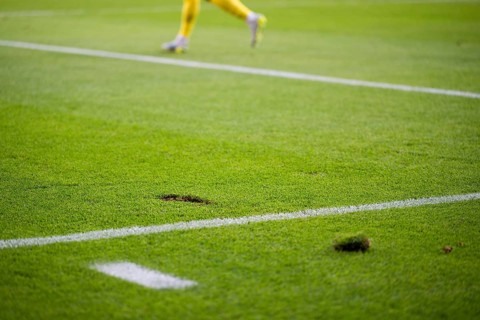 Close up on a damaged green grass turf with a divot on the white line during a soccer match in