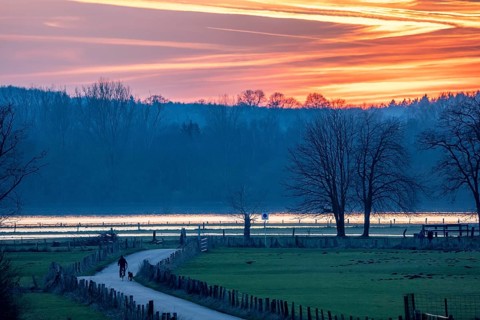 Bislicher Insel, in winter, floods in the floodplains due to Rhine flooding, nature reserve on the
