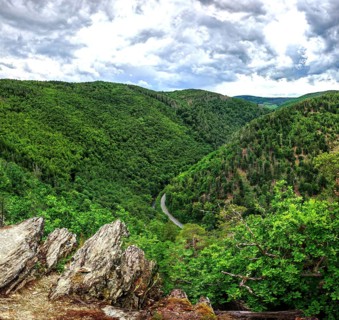Panoramic view from Elisabethfelsen over a wooded hilly landscape with a winding road, clouds in