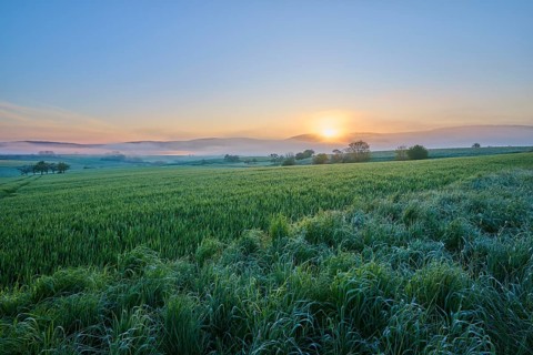 Sunrise over vast fields with rolling hills in the background and a peaceful morning sky,