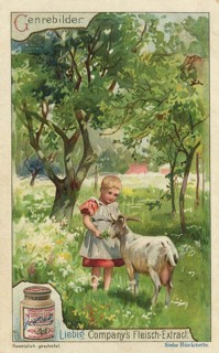 Picture series genre paintings, little girl feeding a goat in a meadow, picture of love, digitally