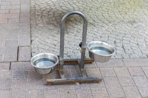 Water drinker for dogs in the shopping street, Hanseatic City of Wismar, Mecklenburg-Western