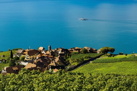 Picturesque village in the vineyards by the lake, Rivaz, Lavaux, UNESCO World Heritage Site, Lake