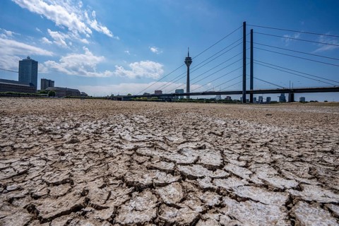 Dry riverbed, brittle floes, extreme low water, Rhine level at 41 cm, downward trend, freighters