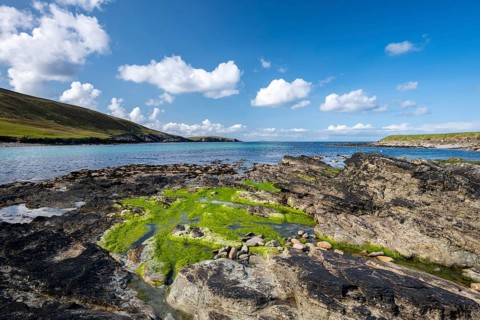 Rocky coast of Noss island, intertidal zone, Shetland Islands, Scotland, United Kingdom