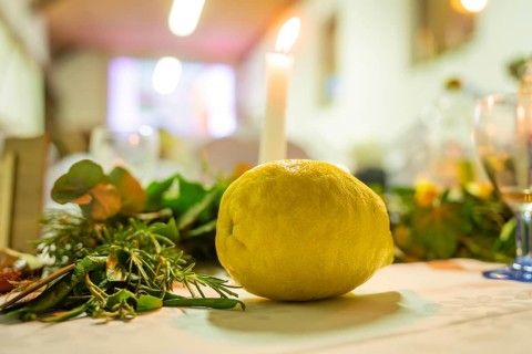 Candle and lemon with plants on a decorative table, wedding, Grossglattbach, Germany
