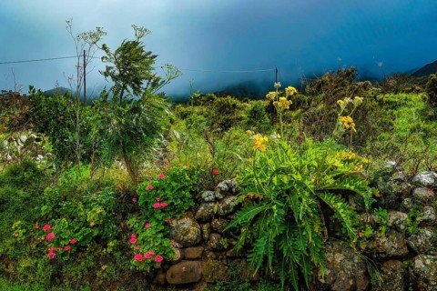El Palmar, Tenerife, Canary Islands, Spain - hiking area around El Palmar in the Teno Mountains. On