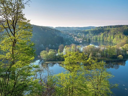 View of the Burgkhammer dam on the river Saale surrounded by green forest in spring, Burgk,