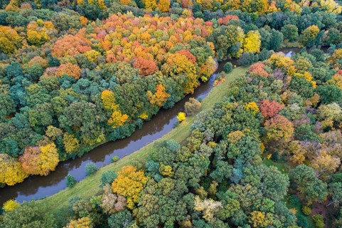 Hunte in autumn Barneführer wood, forest, autumn colors, Westerburg, Wardenburg, Lower Saxony,