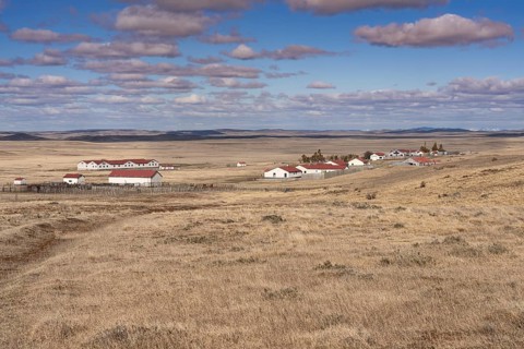 Estancia with white buildings and red roofs, sheep farm in a wide steppe landscape with dry grass,