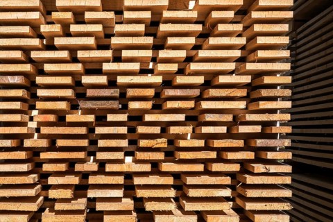 Stacked wooden boards, Oberallgäu, Allgäu, Bavaria, Germany