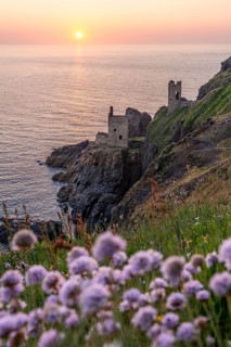 The ruins of the Crowns Engine Houses at Botallack Mine, also known as Crown Mine. Beach carnations
