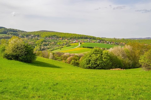 View over the hills with forests and meadows with blooming cherry trees on a sunny day in spring,