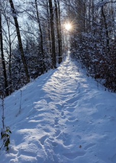 Narrow path in winter forest with sun, Erzgebirge, Saxony, Germany