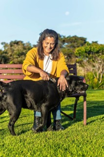 A woman sits on a bench in an Australian backyard, brushing her black labrador. The sunlight