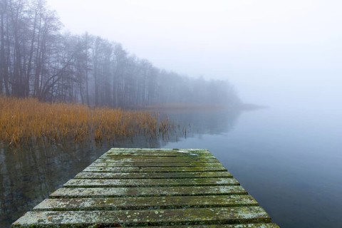 Wooden jetty at Lake Ratzeburg, Ratzeburger See in the mist, Lauenburg Lakes Nature Park, Naturpark