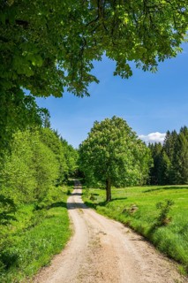 Hiking trail going through the landscape beside a forest next to a meadow old hunts by Turn and