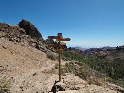 Signpost on a walking trail with a view of the mountains and Canary Island pines (Pinus