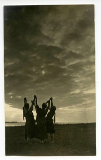 Migratory bird, evening dance, unity with nature, silhouettes of woman dancing under a dramatic