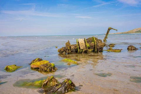 Algae-covered wreckage in shallow water on a beach under blue sky, low tide, Howth beach, Ireland