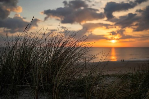 View of the beach from a dune through oats, blurred sunset and evening sky behind it, two walkers,