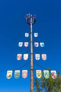 Guild tree, guild tree, guild sign, coat of arms of the various trades, in the Hochsauerlandkreis,