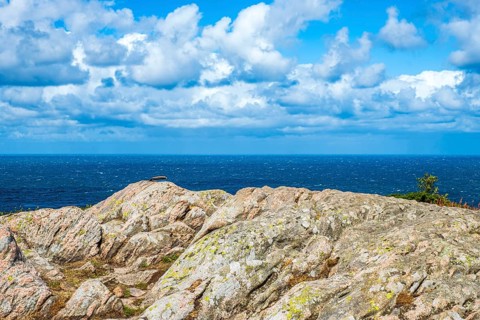 Picturesque coastal scenery with a view of the sea on the Kullen Peninsula (Kullaberg) in Scania,