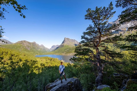 Young man standing on rocks, enjoying the landscape, picturesque mountain scenery in the Innerdalen